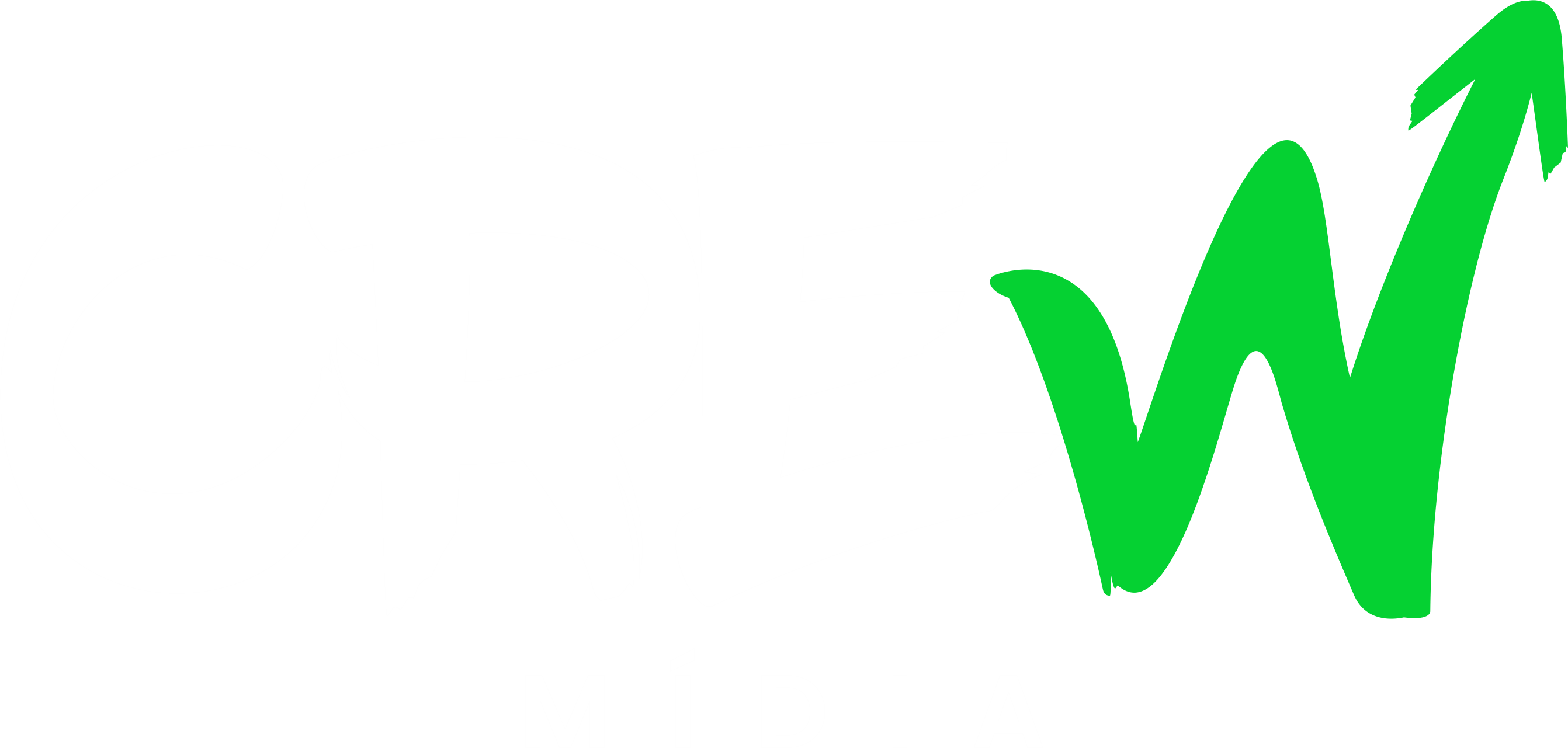 Crew Midia